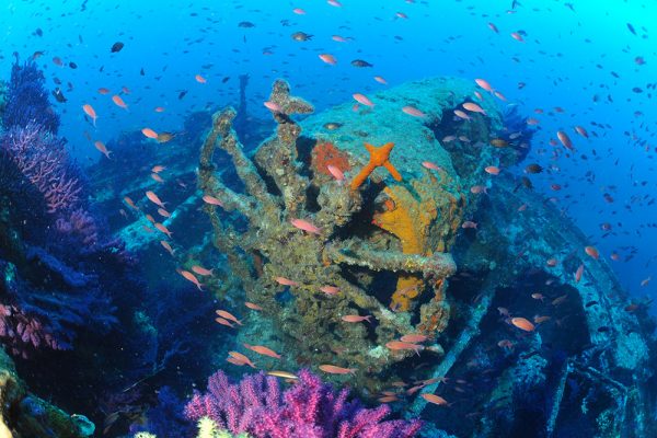 Top 5 des spots de snorkeling près de Porquerolles