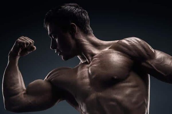 Comment faire pour prendre de la masse musculaire naturellement ?